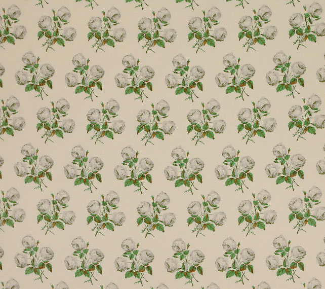 Boxwood by Cowtan & Tout 