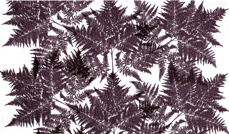 Marimekko "Sananjalka"