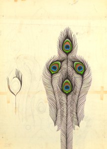 Peacock Drawing for Wallpaper and Textile, Designed by Harvey Smith 1960. Image courtesy of Cooper Hewitt Smithsonian Design Museum.